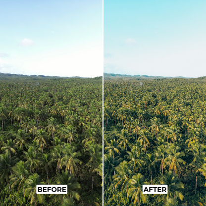 Jungle Green Presets