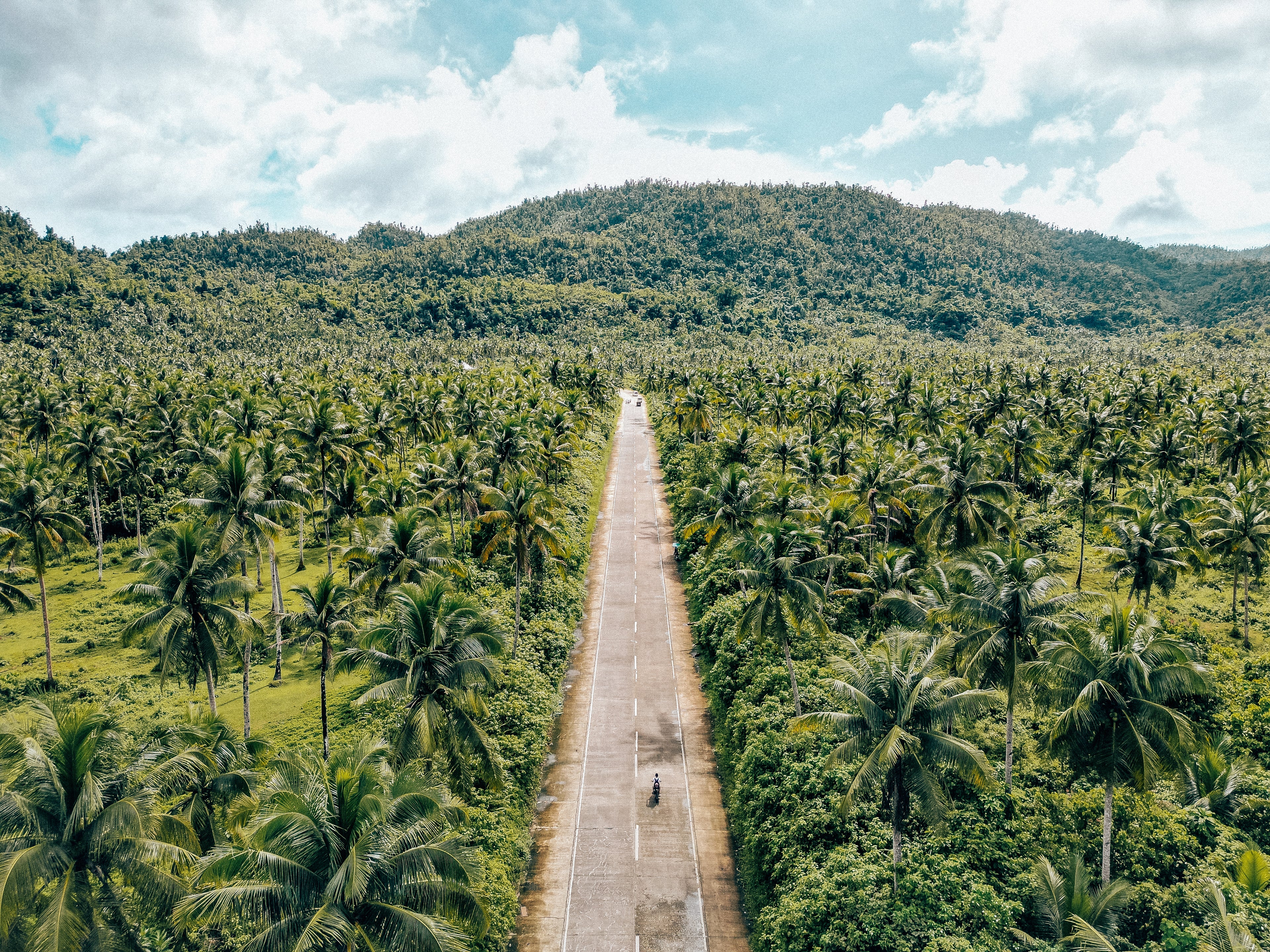 Aerial view of a tropical road surrounded by palm trees in the Philippines, edited with FS Travel Photography Lightroom Presets